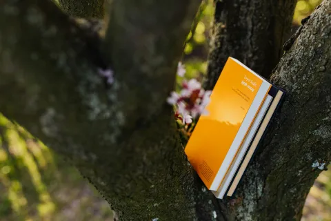 A stack of books sits on a tree branch with spring cherry blossoms blooming in the background.