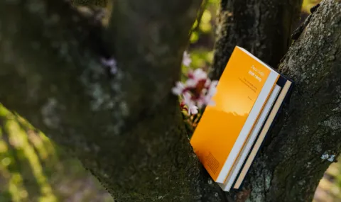 Photo of stack of books resting in a crook of a tree trunk and branches.
