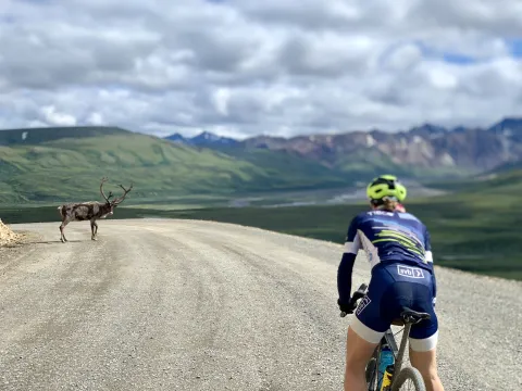 Kristen Faulkner encountering a moose while biking on a road in Alaska. 